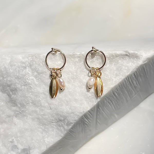 Amy Tamblyn Rice Pearl & Circle Studs